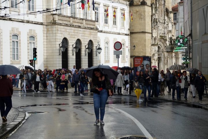 DSC04491 Custom Custom